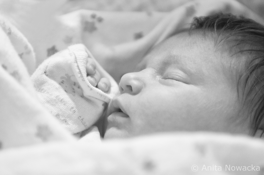 Newborn photography, Seattle, WA