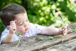 Boy being creative with field flowers