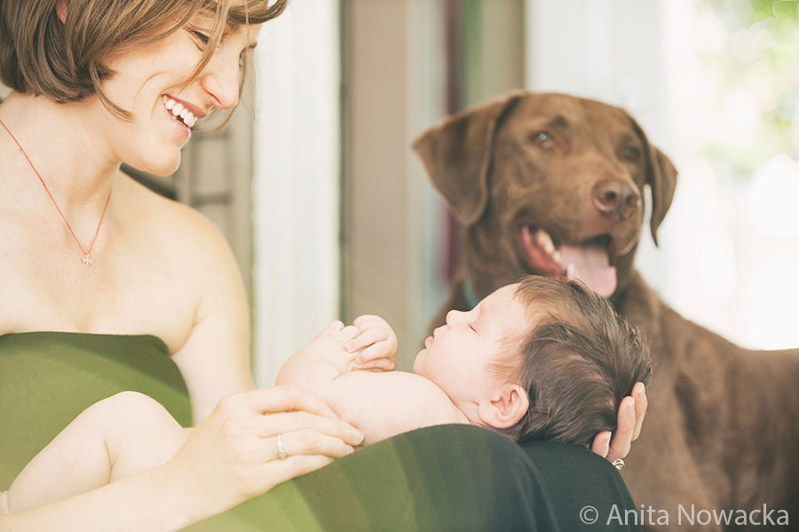 Thoughts on bringing your dog to a family photo session. By Seattle Family Photographer